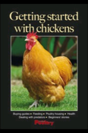 Getting Started With Chickens